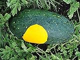 photo: You can buy David's Garden Seeds Fruit Watermelon Moon & Stars 3147 (Yellow) 25 Non-GMO, Open Pollinated Seeds online, best price $3.95 new 2024-2023 bestseller, review