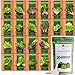 photo Bulk Lettuce & Leafy Greens Seed Vault - 3000+ Non-GMO Vegetable Seeds for Planting Indoor or Outdoor - Kale, Spinach, Butter, Oak, Romaine Bibb & More - Hydroponic Home Garden Seeds (20 Variety) 2023-2022