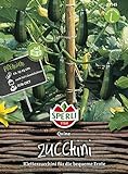 foto: jetzt Zucchini, Quine, Cucurbita pepo Online, bester Preis 4,56 € neu 2024-2023 Bestseller, Rezension