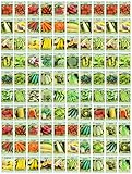 photo: You can buy 100 Assorted Heirloom Vegetable Seeds 100% Non-GMO (100, Deluxe Assorted Vegetable Seeds) online, best price $47.99 ($0.48 / Count) new 2024-2023 bestseller, review