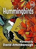 photo: You can buy Hummingbirds online, best price  new 2024-2023 bestseller, review