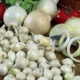 photo: You can buy Onion Sets Red,Yellow,White or Mix 40-70 bulbs) Garden Vegetable- Choose a color(Yellow) online, best price $6.35 ($0.12 / Count) new 2024-2023 bestseller, review