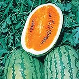 photo: You can buy Burpee Orange Tendersweet Watermelon Seeds 60 seeds online, best price $7.19 new 2024-2023 bestseller, review