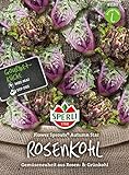 foto: jetzt 81180 Sperli Premium Rosenkohl Samen Flower Sprouts | Neuheit | Mischung aus Rosenkohl und Grünkohl | Rosenkohl Saatgut | Kohl Samen Online, bester Preis 6,77 € neu 2024-2023 Bestseller, Rezension