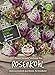 foto 81180 Sperli Premium Rosenkohl Samen Flower Sprouts | Neuheit | Mischung aus Rosenkohl und Grünkohl | Rosenkohl Saatgut | Kohl Samen 2024-2023