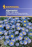 foto: jetzt Sperli Blumensamen Alpenaster hellblau, grün Online, bester Preis 1,86 € neu 2024-2023 Bestseller, Rezension