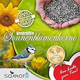 foto: jetzt samore Sonnenblumenkerne gestreift erstklassige Qualität Wildvogelfutter Online, bester Preis 38,56 € (1,54 € / kg) neu 2024-2023 Bestseller, Rezension