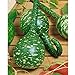 photo Long Handle Dipper Gourd Seeds for Planting - 20 Seeds 2024-2023