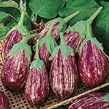 photo: You can buy David's Garden Seeds Eggplant Shooting Stars 1315 (Purple) 50 Non-GMO, Heirloom Seeds online, best price $4.45 new 2024-2023 bestseller, review