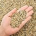 photo 2.7 lb Coarse Sand Stone - Succulents and Cactus Bonsai DIY Projects Rocks, Decorative Gravel for Plants and Vases Fillers，Terrarium, Fairy Gardening, Natural Stone Top Dressing for Potted Plants. 2023-2022