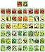 photo Black Duck Brand 50 Packs Assorted Heirloom Vegetable Seeds 20+ Varieties All Seeds are Heirloom, 100% Non-GMO 2023-2022