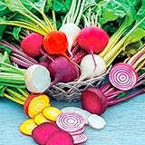 photo: You can buy Rainbow Mix Beet Seeds, 50 Heirloom Seeds Per Packet, Non GMO Seeds, Botanical Name: Beta vulgaris, Isla's Garden Seeds online, best price $5.99 ($0.12 / Count) new 2024-2023 bestseller, review