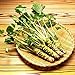 foto 200pcs / lot Semillas wasabi, vegetal de semillas de rábano picante japonés para plantar fácil crecer Bonsai Plantas del jardín de DIY Plantas 2024-2023