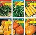 foto Frankonia-Samen/Samen-Sortiment / 3 Kürbissorten und 3 Zucchinisorten/Zucchini Black Beauty/Zuchini Partenon F1 2023-2022