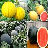 photo: You can buy Cozy Crib Multicolor Watermelon Mix About 20 Seeds online, best price $5.99 ($0.30 / Count) new 2024-2023 bestseller, review