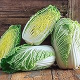 photo: You can buy 25+ Count Napa Michihili Heading Cabbage Seed, Heirloom, Non GMO Seed Tasty Healthy Veggie online, best price $1.99 ($0.08 / Count) new 2024-2023 bestseller, review