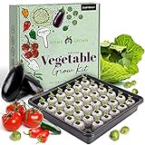 photo: You can buy Vegetable Garden Starter Kit – 250+ Vegetable Seeds with Germination Seed Starter Tray, Soil, Markers, & Grow Guide - Vegetable Indoor Garden Kit - Indoor Seedling Seed Starter Kits online, best price $39.99 new 2024-2023 bestseller, review