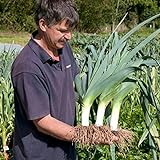 photo: buy Seeds4planting - Seeds Onion Leek Giant Vegetable Heirloom online, best price $6.94 new 2022-2021 bestseller, review