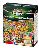 foto: jetzt Sommerblumenmischung (ohne Gräser) NEU Online, bester Preis 7,21 € (72,10 € / kg) neu 2024-2023 Bestseller, Rezension