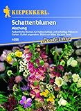 foto: jetzt Schattenblumen-Mischung Online, bester Preis 3,95 € neu 2024-2023 Bestseller, Rezension