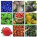 foto 9kinds de semillas de la fresa, blanco, amarillo, azul, negro, rojo, verde, grandes fresas, subida, 900 semillas totales plants.bonsai jardín de la fruta 2024-2023