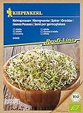 foto: jetzt Bio Keimsprossen verschiedene Sorten Alfalfa Radies Brokkoli Weizen Rauke Linsen Zwiebel (Alfalfa) Online, bester Preis 4,13 € neu 2024-2023 Bestseller, Rezension