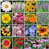 photo: You can buy All Perennial Wildflower Seed Mix - 1/4 Pound, Mixed, Attracts Pollinators, Attracts Hummingbirds, Easy to Grow & Maintain online, best price $14.25 new 2024-2023 bestseller, review