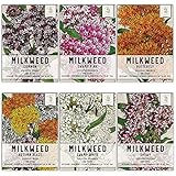 photo: You can buy Seed Needs, Milkweed Seed Packet Collection to Attract Monarch Butterflies (6 Individual Seed Packets) Heirloom Untreated Milkweed Seeds online, best price $16.85 ($2.81 / Count) new 2024-2023 bestseller, review