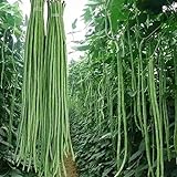 photo: You can buy 100 Pcs Snake/Yard-Long Asparagus Pole Bean Seeds Heirloom Non-GMO Seeds,for Growing Seeds in The Garden or Home Vegetable Garden online, best price $7.99 new 2024-2023 bestseller, review