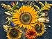 photo Sunflower Autumn 20K (CHK) Seeds Or 1 Pound 2024-2023