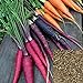 foto Samen zum Anpflanzen, 100pcs / set Karottensamen, Gemüsesamen, Getreide Natürlich Nein GVO voller Vitalität Samen für Balkon Backyard Garten Yard Saat 2022-2021