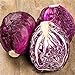 photo RattleFree Cabbage Seeds for Planting | Heirloom & Non-GMO | 500 Red Acre Cabbage Vegetable Seeds for Planting Home Gardens | Growing Instructions Included on Planting Packets 2022-2021
