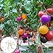 foto Semillas de tomate raras, 100 piezas / bolsa Semillas Ensaladas de frutas tolerantes a la sequía Semillas de jardín frescas no transgénicas para jardín 2024-2023