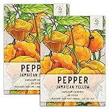 photo: You can buy Seed Needs, Jamaican Yellow Pepper Seeds (Capsicum annuum) Twin Pack of 100 Seeds Each Non-GMO online, best price $7.99 ($4.00 / Count) new 2024-2023 bestseller, review