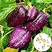 photo 0 Pcs/sac de graines de poivre doux taux élevé de germination facile à faire pousser, facile à manipuler magnifiquement les graines de poivre de lanterne douce violette pour l'agriculture dom Gra 2022-2021
