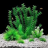 photo: You can buy QUMY Aquarium Plants Plastic Fish Plant Set for Tank Artificial Decoration for All Fish Medium online, best price $11.99 new 2024-2023 bestseller, review