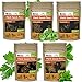 photo Parsley, Basil, Cilantro, Oregano, Chives - 5 Culinary Herb Seeds Pack - Heirloom and Non GMO, Grown in USA - Indoor or Outdoor Garden 2024-2023