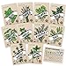 photo Culinary Herb Seeds 10 Pack – Over 4000 Seeds! 100% Non GMO Heirloom - Basil, Cilantro, Parsley, Chives, Thyme, Oregano, Dill, Rosemary, Sage Rosemary for Planting for Outdoor or Indoor Herb Garden 2024-2023