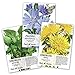 photo Seed Needs, Dandelion Seed Collection (3 Individual Packets) Non-GMO 2024-2023