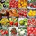 photo Set de graines de tomates PRADEMIR – 16 variétés de tomates - Graines 100% naturelles du Portugal - Variétés rares et anciennes à haut taux de germination. 2024-2023