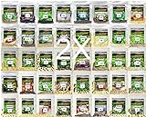photo: You can buy Over 34,000 Seeds!! Set of 40 Individual Vegetable, Herb & Melon Seed Packs Perfect for Planting A Deluxe Home/Survival Garden Indoor/Outdoor. Heirloom-100% Non-GMO! USA Packaged. by B&KM Farms. online, best price $39.99 ($0.00 / Count) new 2024-2023 bestseller, review