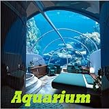 photo: You can buy Aquarium online, best price $0.99 new 2024-2023 bestseller, review