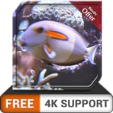 foto: jetzt free deep fish tank HD - dekorieren Sie Ihr Zimmer mit einem wunderschönen Live-Aquarium auf Ihrem HDR 4K-Fernseher, 8K-Fernseher und Feuergeräten als Hintergrundbild, Dekoration für die Weihnachtsfer Online, bester Preis 0,00 € neu 2024-2023 Bestseller, Rezension
