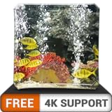photo: You can buy FREE Peaceful Aquarium HD - Decorate your room with beautiful sea life aquarium on your HDR 4K TV, 8K TV and Fire Devices as a wallpaper, Decoration for Christmas Holidays, Theme for Mediation & Peace online, best price $0.00 new 2024-2023 bestseller, review
