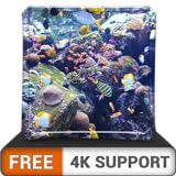 photo: You can buy FREE Aquatic Beauty HD - Decorate your room with beautiful sea life aquarium on your HDR 4K TV, 8K TV and Fire Devices as a wallpaper & Theme for Mediation , Decoration for Christmas Holidays & Peace online, best price $0.00 new 2024-2023 bestseller, review